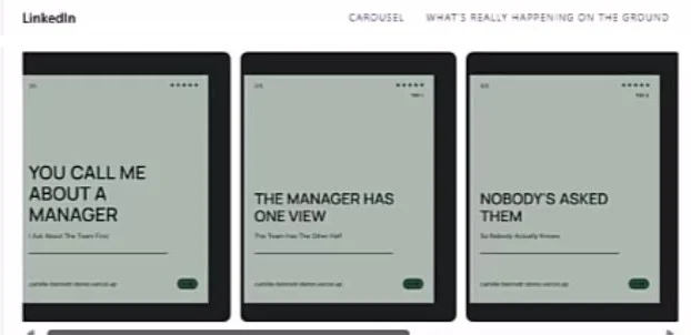 The Wednesday carousel Remixi designed from that plan